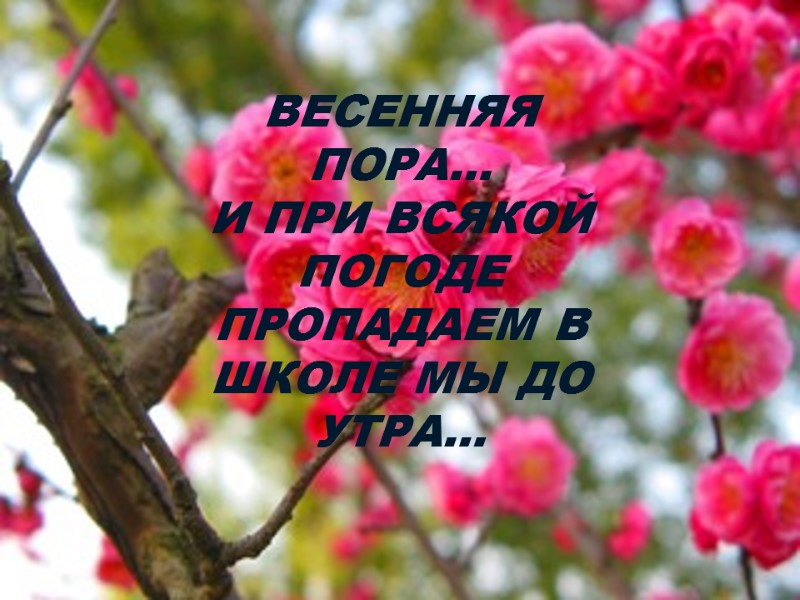 ВЕСЕННЯЯ ПОРА… И ПРИ ВСЯКОЙ ПОГОДЕ ПРОПАДАЕМ В ШКОЛЕ МЫ ДО УТРА…